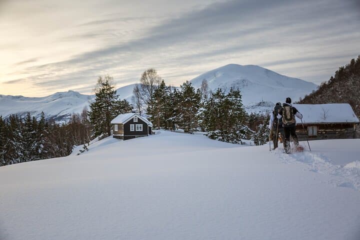 Snowshoeing Ålesund: Winter Walks in the Sunnmøre Alps photo 2