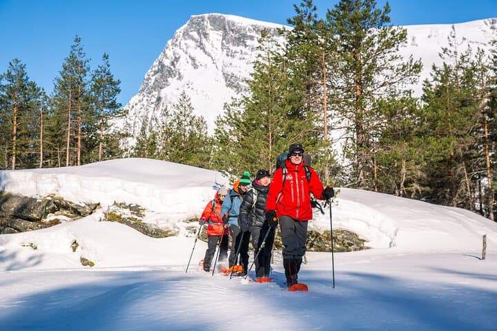 Snowshoeing Ålesund: Winter Walks in the Sunnmøre Alps photo 3