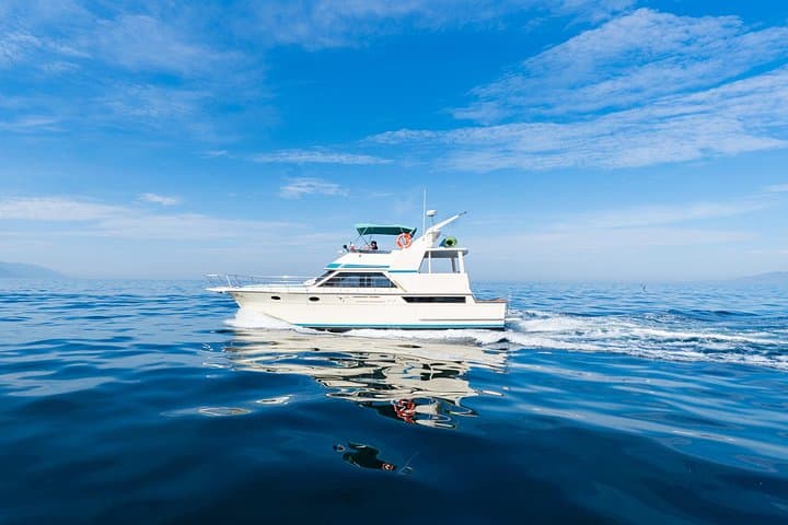 Half-Day Private Yacht to Los Arcos — Puerto Vallarta Bay Cruise photo 2