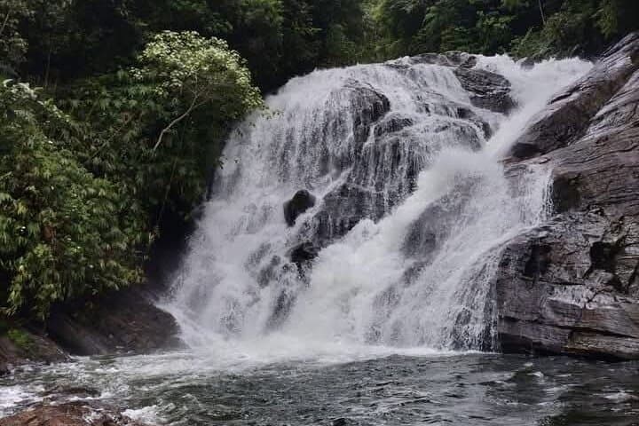 Sinharaja Rain Forest Waterfall Tour: Day Trip from Hikkaduwa photo 2
