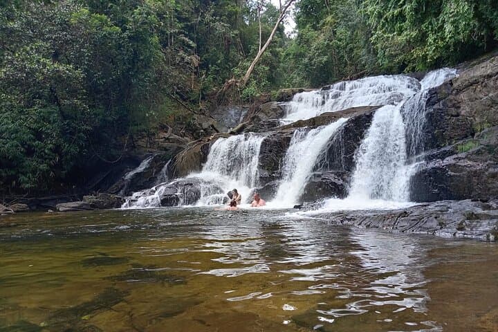 Sinharaja Rain Forest Waterfall Tour: Day Trip from Hikkaduwa photo 5
