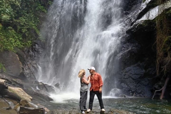 Sinharaja Rain Forest Waterfall Tour: Day Trip from Hikkaduwa