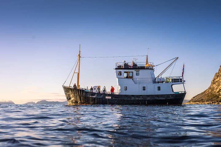 Fishing Trip in Ålesund: Small-Boat Angling to Alnes Lighthouse and Godøya