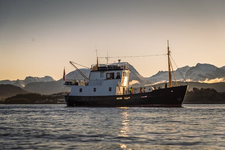 Fishing Trip in Ålesund: Small-Boat Angling to Alnes Lighthouse and Godøya photo 4