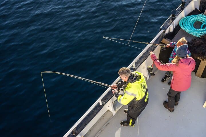 Fishing Trip in Ålesund: Small-Boat Angling to Alnes Lighthouse and Godøya photo 2