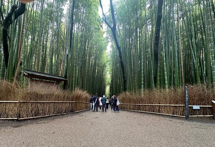 Customizable Kyoto Private Day Tour with English Chauffeur — Arashiyama, Temples & Markets photo 1