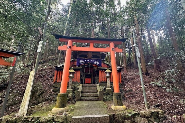 Customizable Kyoto Private Day Tour with English Chauffeur — Arashiyama, Temples & Markets photo 2