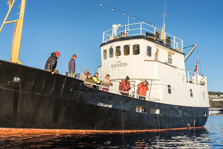 Fishing Trip in Ålesund: Small-Boat Angling to Alnes Lighthouse and Godøya photo 3