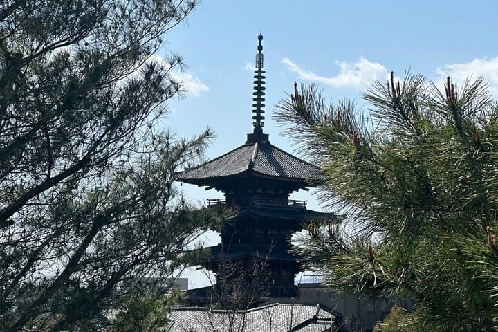Customizable Kyoto Private Day Tour with English Chauffeur — Arashiyama, Temples & Markets photo 3