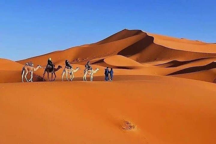 3-Day Sahara Desert Tour from Marrakech to Merzouga — Camel Trek & Dune Camp photo 1