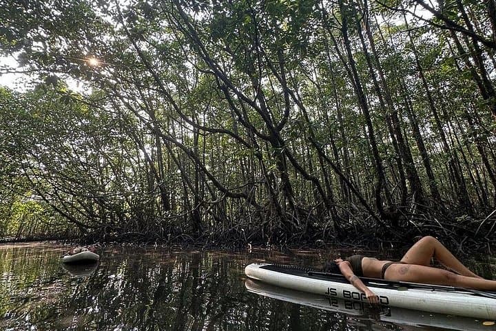 Stand-Up Paddleboarding the Mangroves of Koh Rong Sanloem: A 2-Hour Eco SUP Tour photo 4