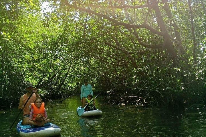 Stand-Up Paddleboarding the Mangroves of Koh Rong Sanloem: A 2-Hour Eco SUP Tour photo 2