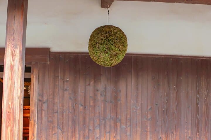 Tokyo to Kobe Day Trip: Sake Breweries, Nunobiki Herb Garden & Kobe Beef by Bullet Train photo 2