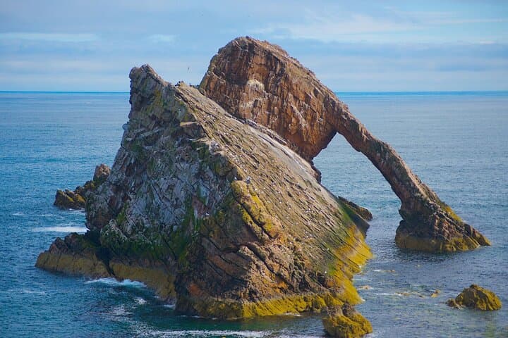 Speyside Whisky, Wildlife & Moray Coast Day Trip from Inverness photo 2