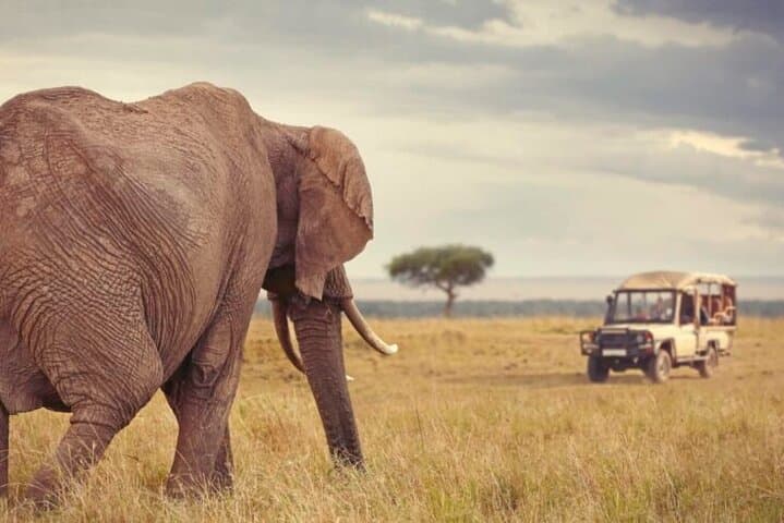 Luxury 6-Day Tanzania Safari: Tarangire, Serengeti & Ngorongoro Lodges photo 3