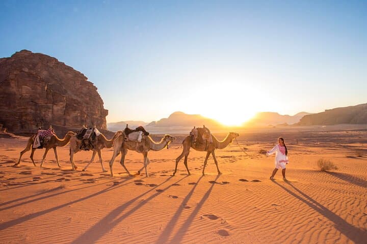 Private Day Trip from Amman to Petra and Wadi Rum — Driver, Timing & Practical Tips photo 5