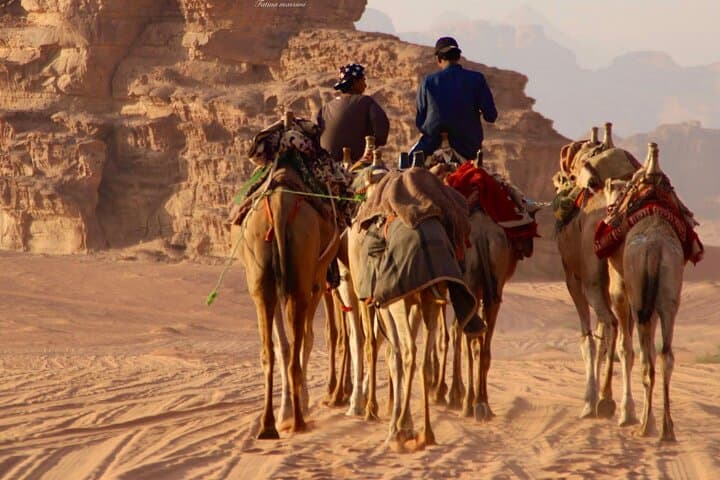 Private Day Trip from Amman to Petra and Wadi Rum — Driver, Timing & Practical Tips photo 2