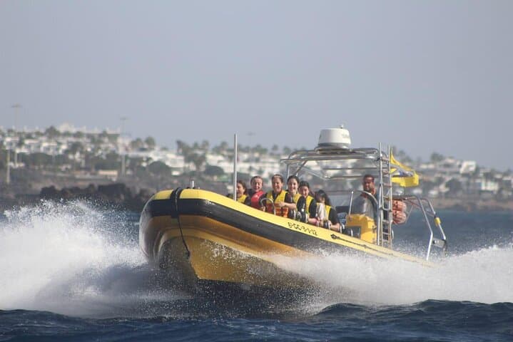 Sunset Dolphin Watching Along Lanzarote’s Southern Coast photo 2