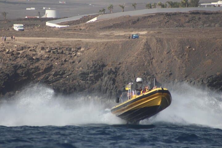 Sunset Dolphin Watching Along Lanzarote’s Southern Coast photo 3