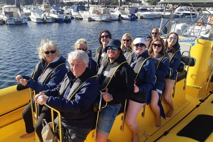 Sunset Dolphin Watching Along Lanzarote’s Southern Coast photo 4