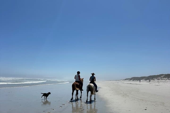 Horseback on 16 Mile Beach: Yzerfontein Coastal Ride Guide