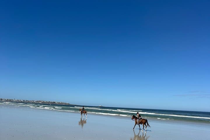 Horseback on 16 Mile Beach: Yzerfontein Coastal Ride Guide photo 2