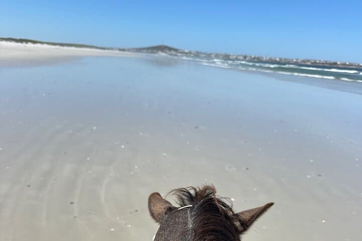 Horseback on 16 Mile Beach: Yzerfontein Coastal Ride Guide photo 3