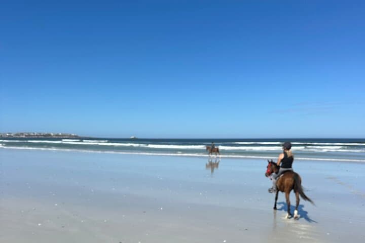 Horseback on 16 Mile Beach: Yzerfontein Coastal Ride Guide photo 4