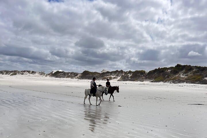 Horseback on 16 Mile Beach: Yzerfontein Coastal Ride Guide photo 5