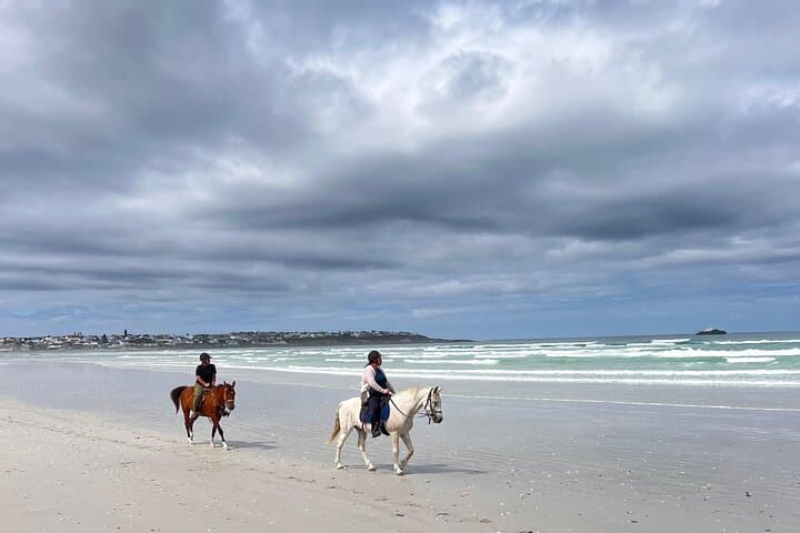 Horseback on 16 Mile Beach: Yzerfontein Coastal Ride Guide photo 6