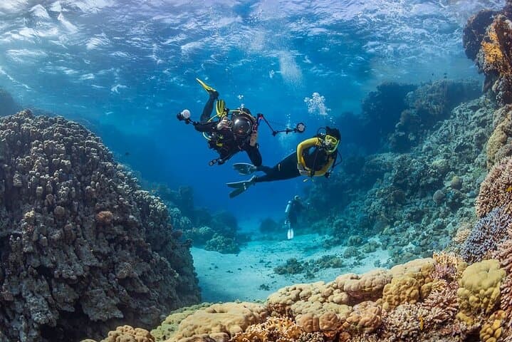 Alanya Scuba Diving & Snorkeling Day Trip — Mediterranean Dives with Lunch and Transfer photo 4