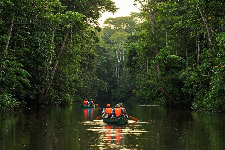 6-Day Amazon Jungle Immersion from Iquitos — Brisa Tropical Lodge Adventure photo 4