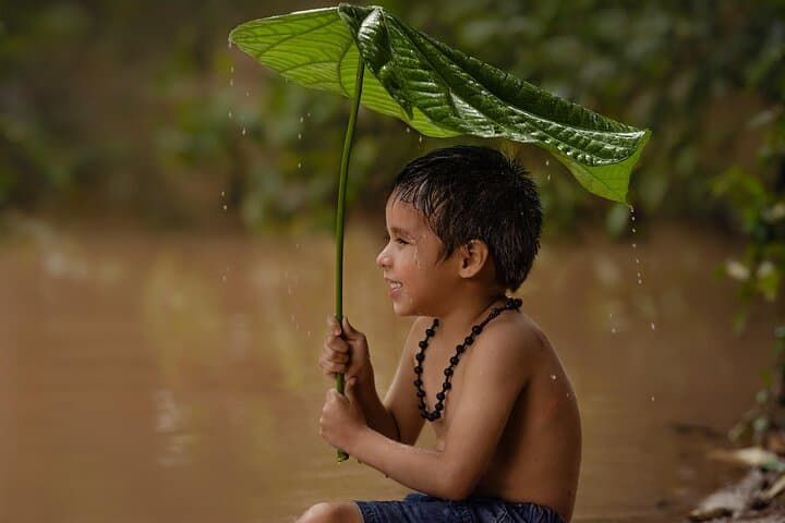 6-Day Amazon Jungle Immersion from Iquitos — Brisa Tropical Lodge Adventure photo 2