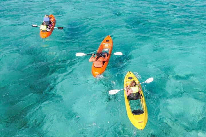 Clear Kayak & Snorkel at Mangel Halto: Paddle Over Reefs in Aruba photo 6