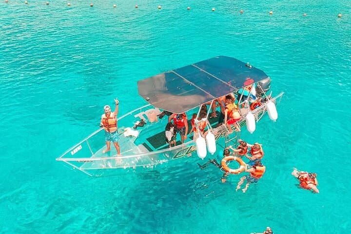 Transparent Boat Tour in Cozumel Reefs: Glass-Bottom Views of a Sunken Ship and Coral Gardens photo 4
