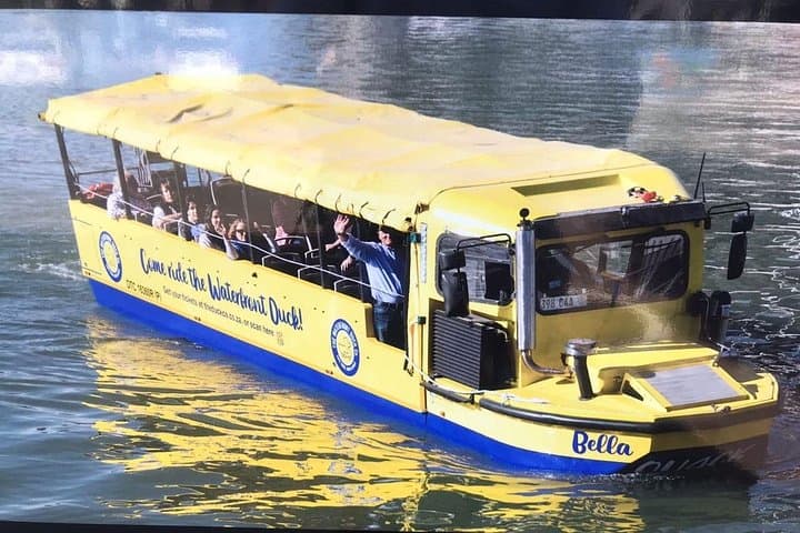 V&A Waterfront Day: Two Oceans Aquarium, Amphibious Duck Tour & Botanical Garden Stroll photo 4