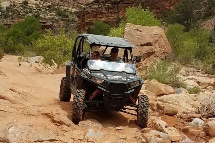 Half-Day UTV Tour of Bears Ears: Comb Ridge & River House Ruin