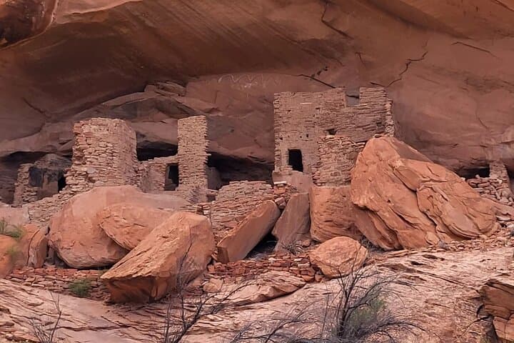 Half-Day UTV Tour of Bears Ears: Comb Ridge & River House Ruin photo 6