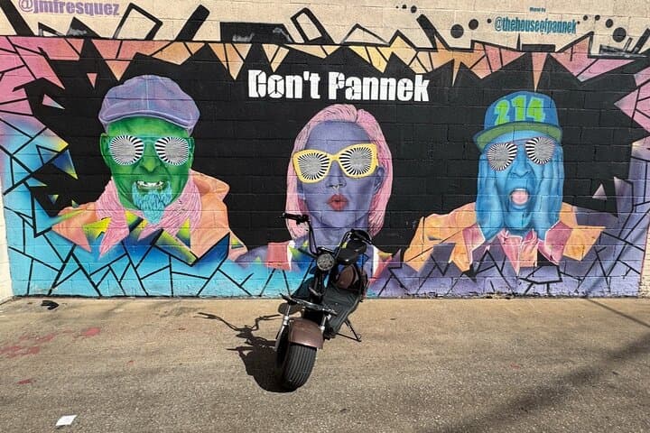 Cruise Downtown Houston: Fat Tire 2-Seater Rentals for Urban Exploration