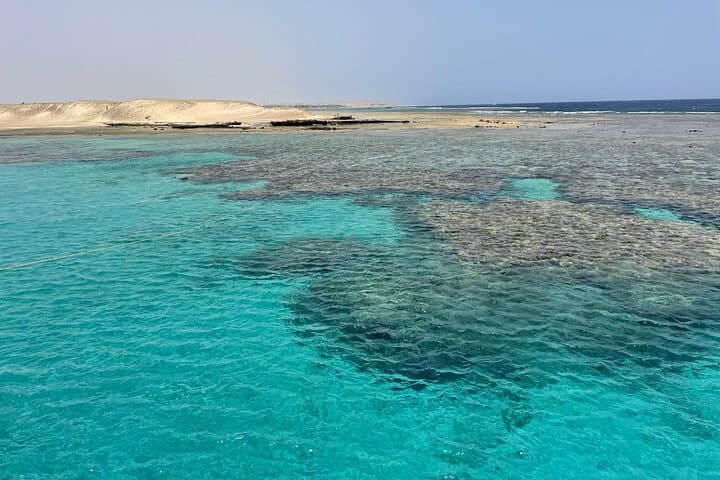 Luxury Boat to Marsa Mubarak — Swim with Dugongs and Sea Turtles photo 5
