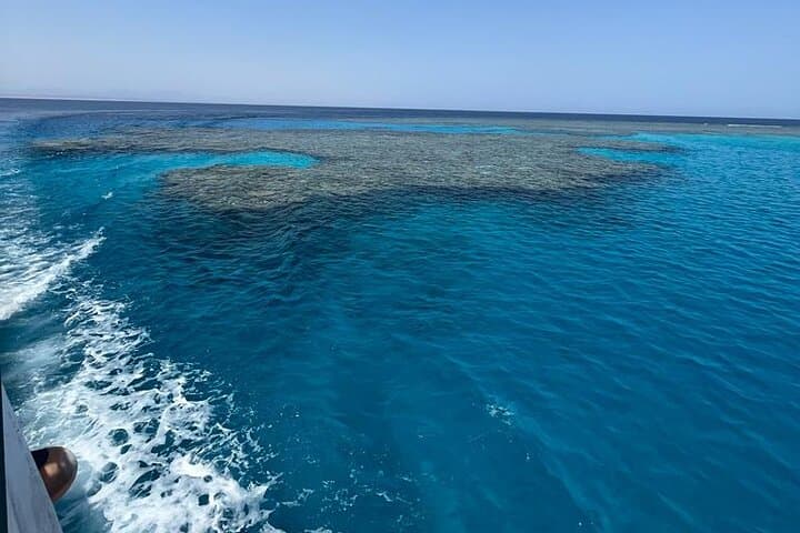 Luxury Boat to Marsa Mubarak — Swim with Dugongs and Sea Turtles photo 6
