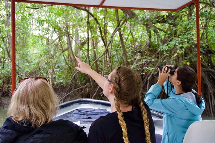 Damas Island Mangrove Boat Tour from Quepos — Wildlife, Coconuts & Local Farm Visit photo 2