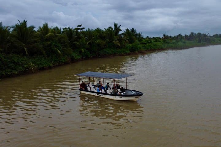 Damas Island Mangrove Boat Tour from Quepos — Wildlife, Coconuts & Local Farm Visit photo 4