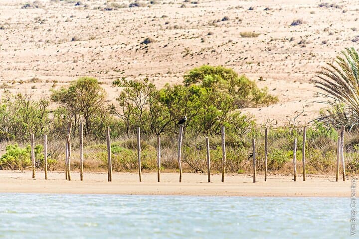 Sahara Day Adventure from Agadir: Dunes, Berber Lunch & Massa River photo 3