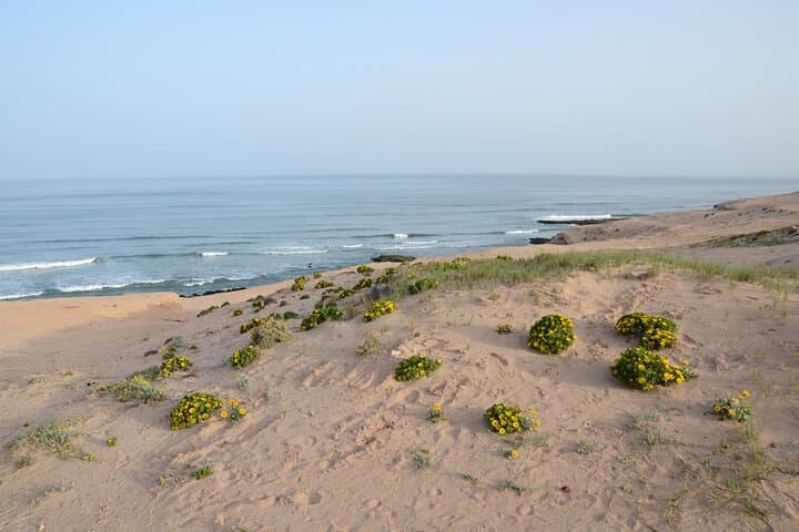 Sahara Day Adventure from Agadir: Dunes, Berber Lunch & Massa River photo 2