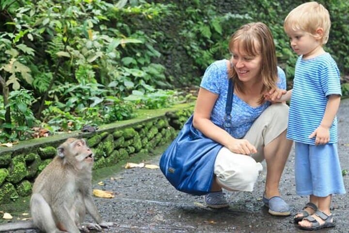 Exploring Ubud's Cultural Wonders: A Half Day Private Tour photo 2