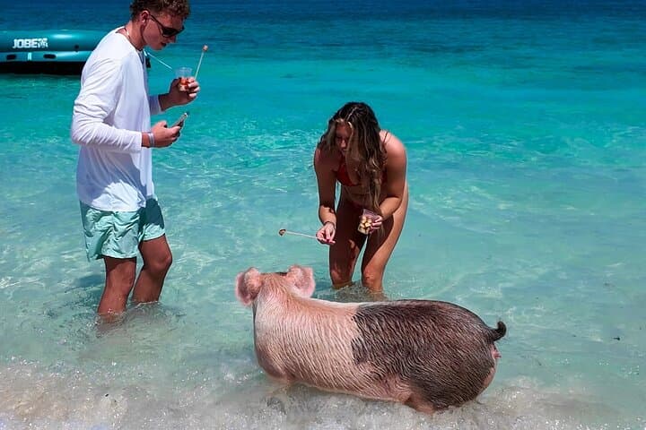 Swimming Pigs & Rainbow Reef Snorkel — Nassau Beach and Harbor Cruise photo 3