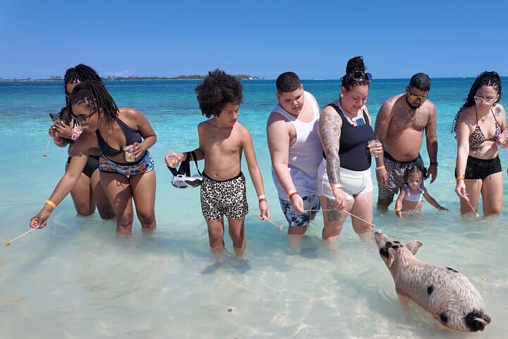Swimming Pigs & Rainbow Reef Snorkel — Nassau Beach and Harbor Cruise photo 4
