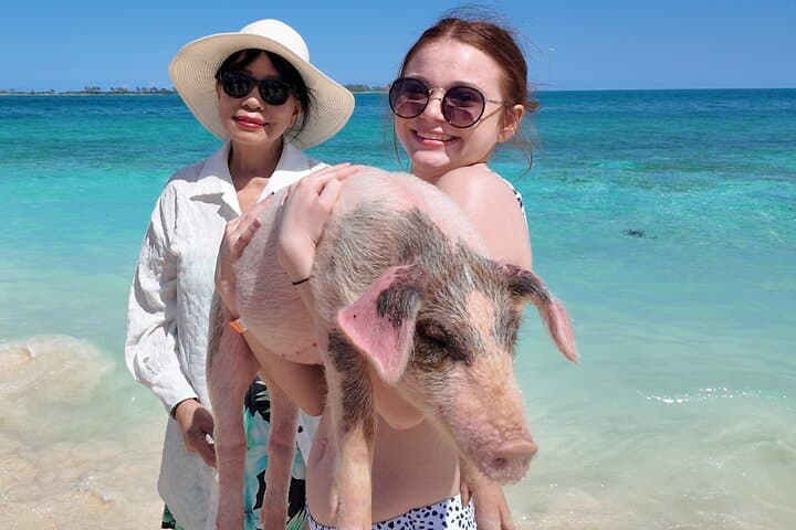Swimming Pigs & Rainbow Reef Snorkel — Nassau Beach and Harbor Cruise photo 6