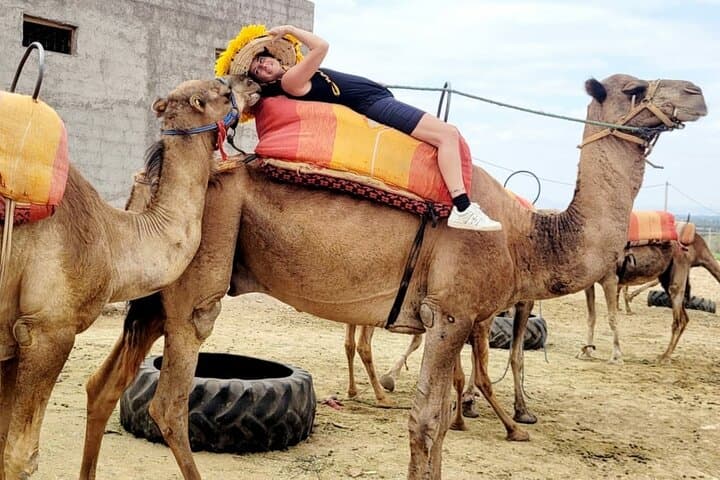 Camel Ride and Sunset Dinner in Morocco's Agafay Desert photo 6